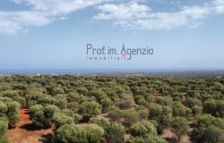 Sale Land with sea view Carovigno 2